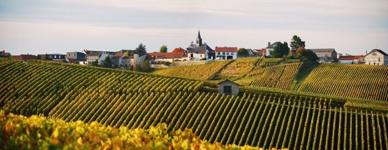  Champagne Lilbert-Fils · Cramant Grand Cru 