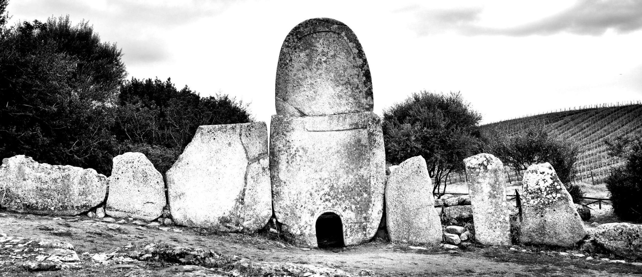  Capichera 