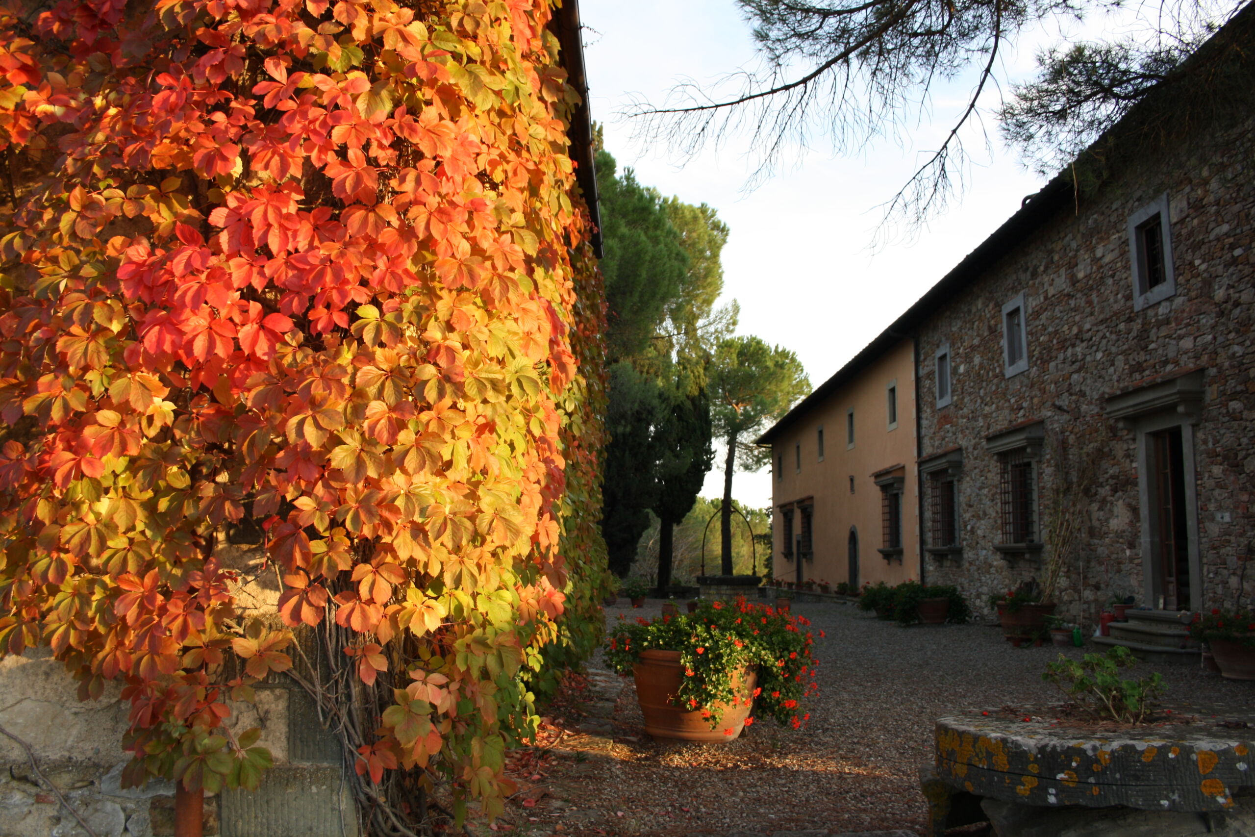  Castello dei Rampolla 