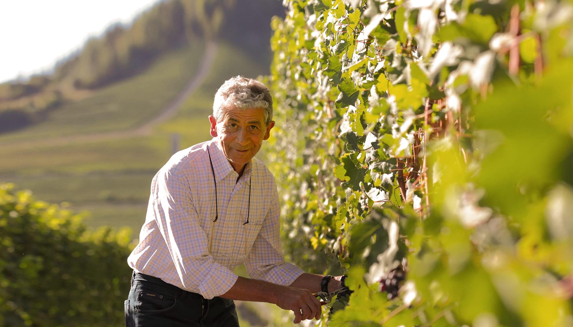 Domenico Clerico