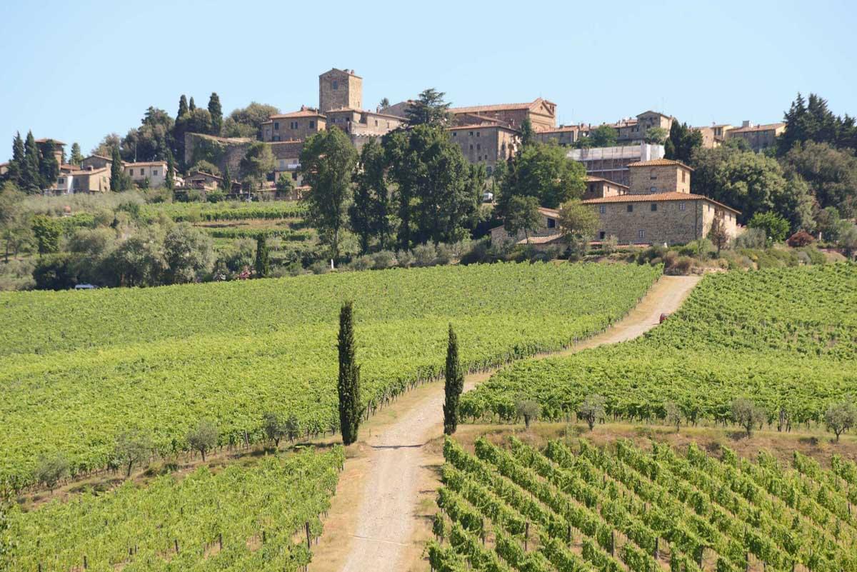  Fontodi 