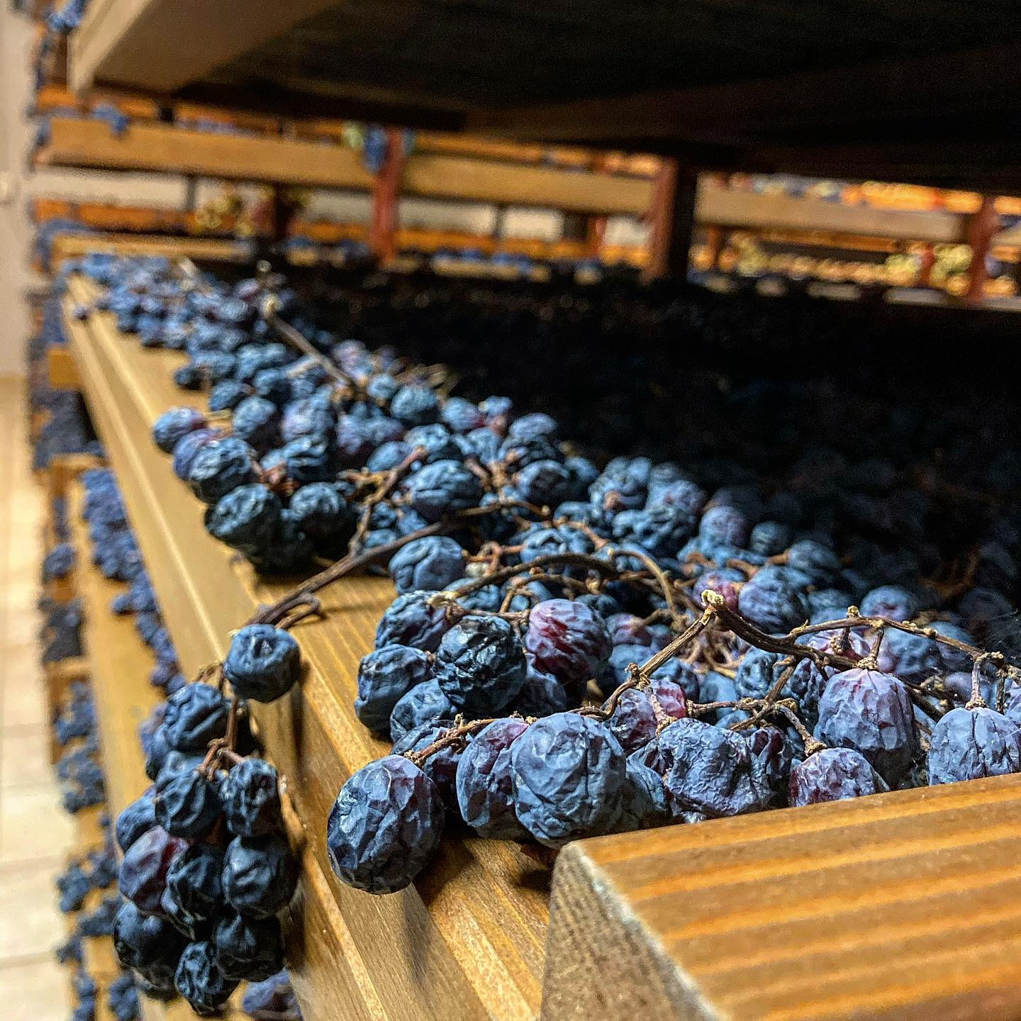 Giuseppe Quintarelli-Amarone